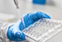 Gloved hand holding a multiwell plate as a pipette dispenses liquid