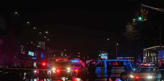 Chaos in Vienna: 2 Dead, Dozens Hurt in Street Nighttime police scene with flashing lights on a wet city street