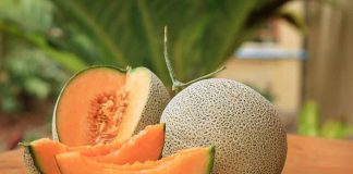 Fruit Products, Cantaloupes Linked To Salmonella Infections