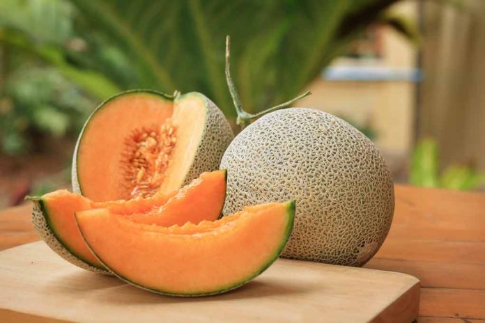 Fruit Products, Cantaloupes Linked To Salmonella Infections