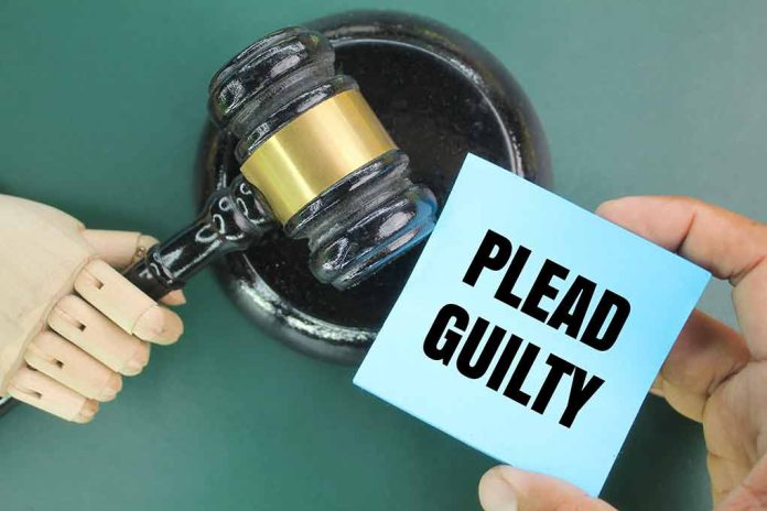 Woman Pleads Guilty in Huge Fraud Case