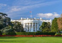 Driver Killed in Crash at White House Gate