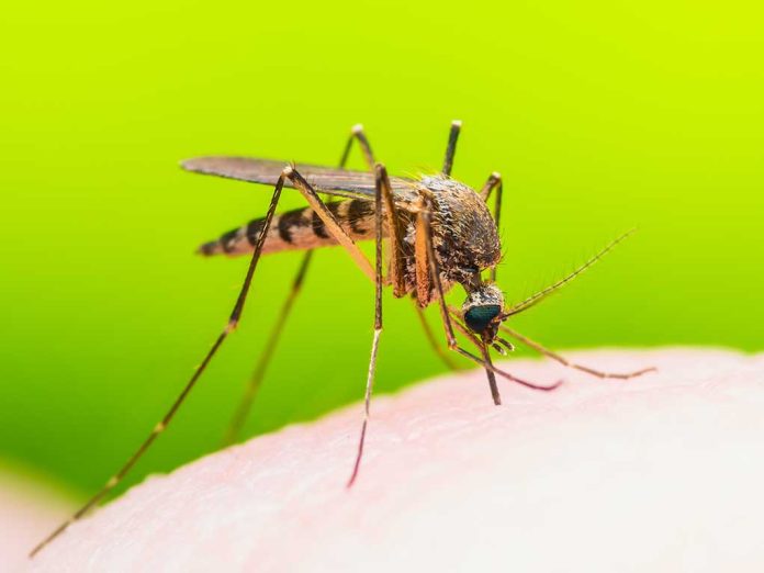 Rare Mosquito-Born Virus Causes Death of New Hampshire Man