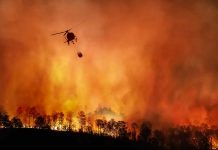 Relief Package Approved for California Fire Devastation