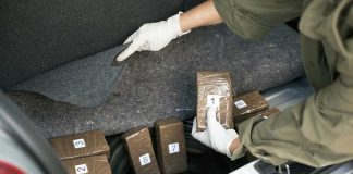 Person discovering wrapped packages in a car trunk