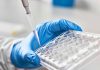 Gloved hand pipetting liquid into a tray