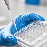 Gloved hand pipetting liquid into a tray