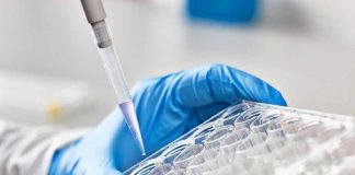 Gloved hand pipetting liquid into a tray