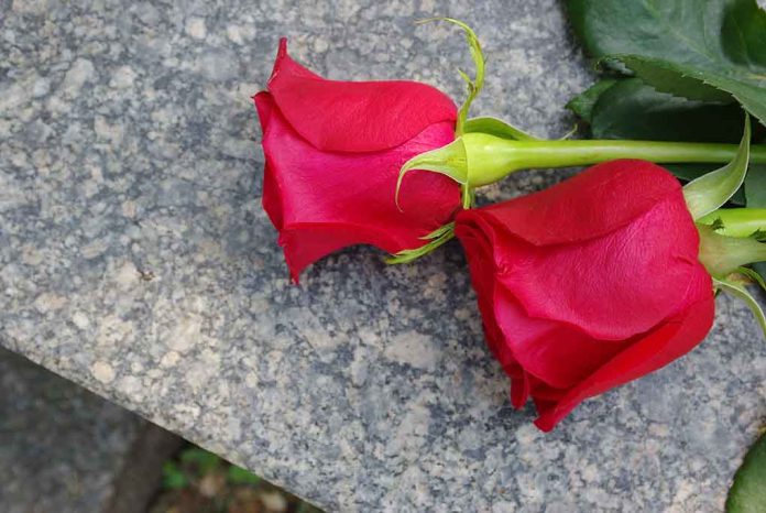 102318856 featured image Two red roses on a marble surface.