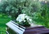 Coffin with white flowers outdoors in green surroundings