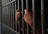 Hands gripping prison cell bars tightly