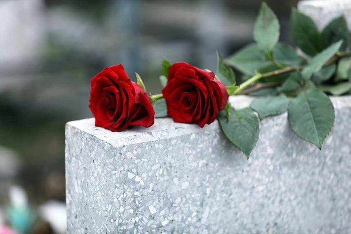 162284601 Red roses on a gray stone surface