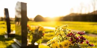 Sunlit cemetery with flowers on headstone