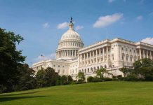 The U.S. Capitol building surrounded by green grass and trees under a blue sky