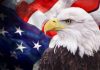 Bald eagle with an American flag background.