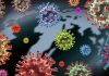 Colorful virus illustrations over a world map.